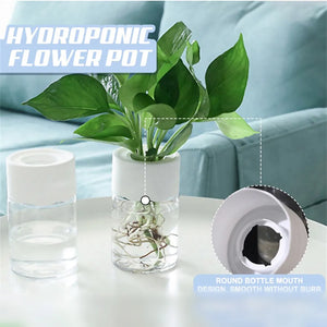 Hydroponic Flower Pot