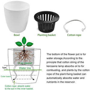 Self Watering Flower Pot
