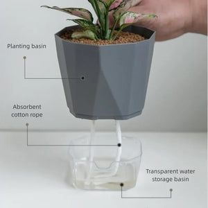 Transparent Lazy Water Pot