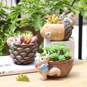 Cartoon Succulent Flower Pot