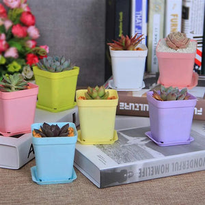 Mini Basin Flower Pot