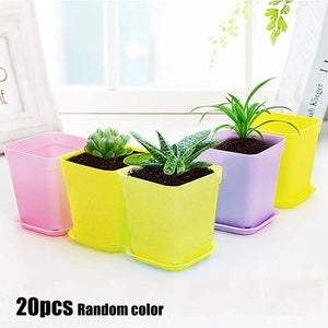 Mini Basin Flower Pot