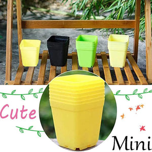 Mini Basin Flower Pot