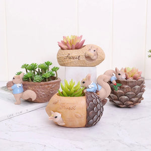 Cartoon Succulent Flower Pot